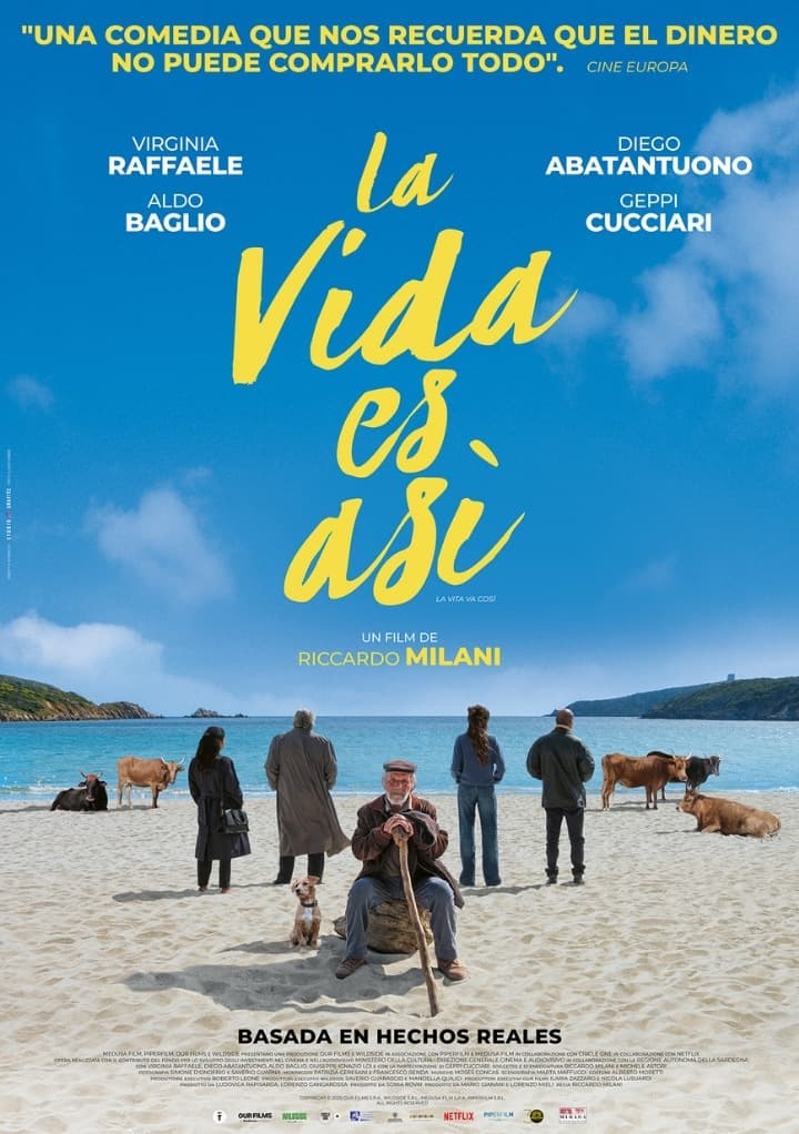 Póster de La vida es así