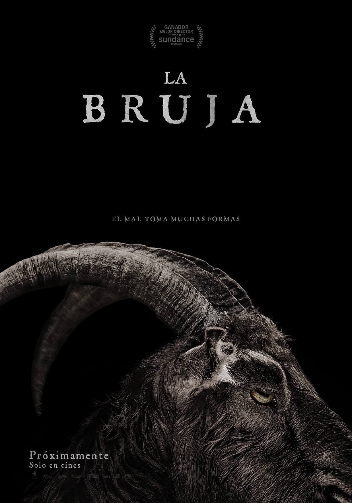 Póster de La bruja