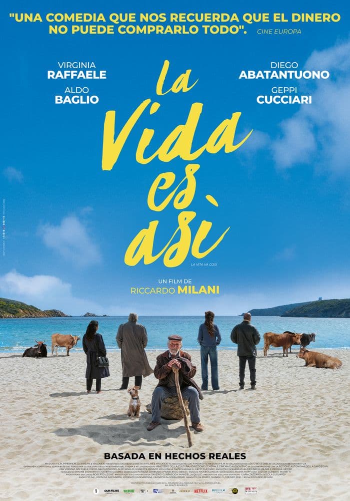 Póster de La vida es así