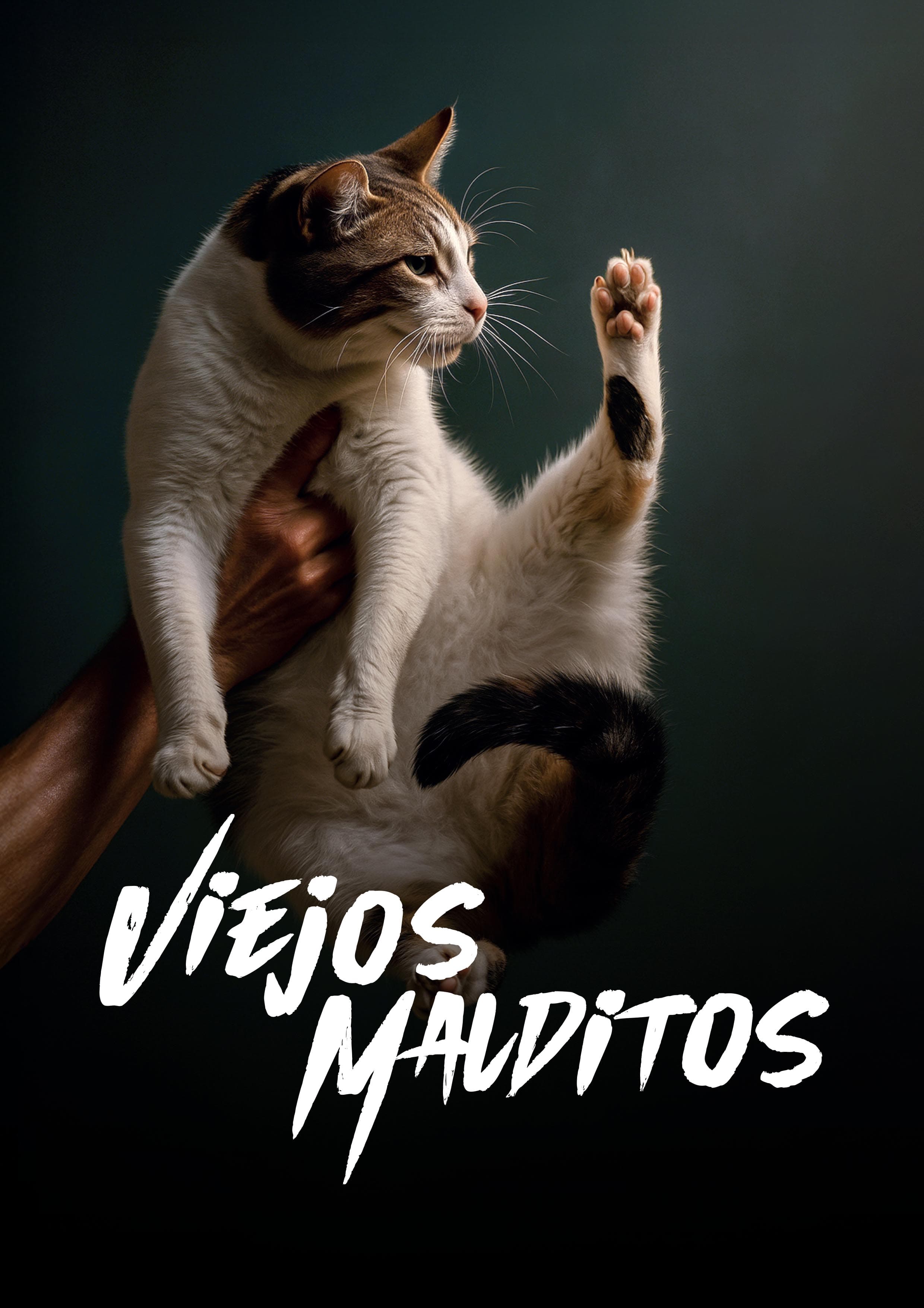 Póster de Viejos malditos