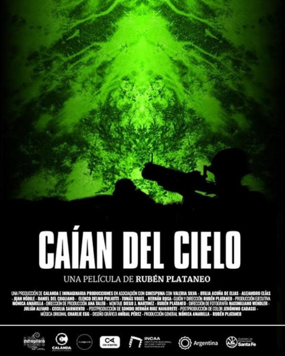 Póster de Caían del cielo
