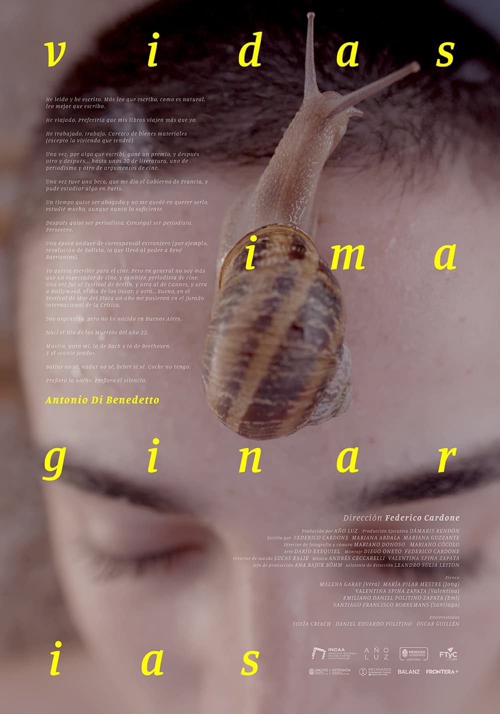Póster de Vidas imaginarias