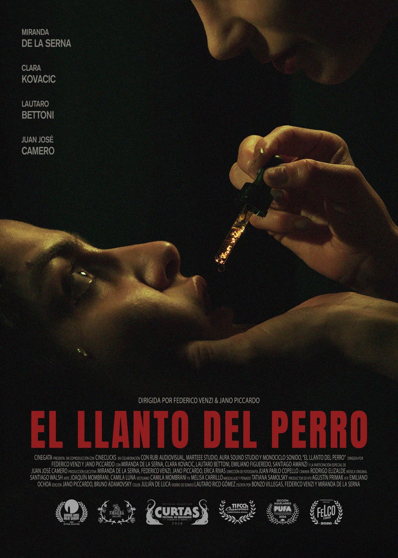 Póster de El llanto del perro